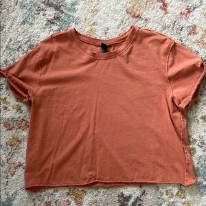 Wild Fable Crop T-Shirt in Rust